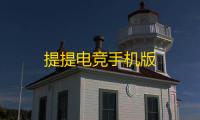 提提电竞手机版